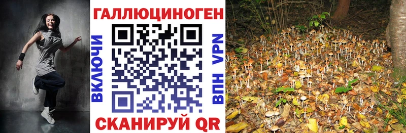 Купить закладки  Нефтекамск  Галлюциногенные грибы Psilocybe 